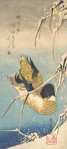Kachna divoká a rákosí pokryté sněhem, ca. 1832, ca. 1832. od Ando Hiroshige