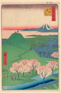 Nové Fuji, Meguro (meguro, Shin-Fuji) Ze série Sto slavných pohledů na Edo od Ando Hiroshige