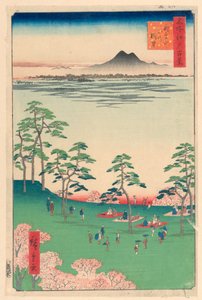Pohled na sever z kopce Asuka (Asuka-yama Kita no Chobo) ze série Sto slavných pohledů na Edo od Ando Hiroshige