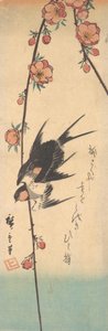 Hruškové květy a vlaštovky, ca. 1840, ca. 1840. od Ando Hiroshige