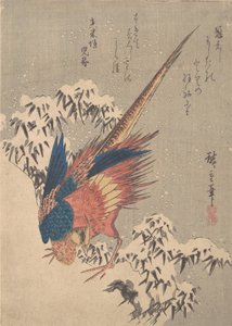 Bažant mezi sněhem naloženým bambusem na Hillside, ca. 1840, ca. 1840. od Ando Hiroshige
