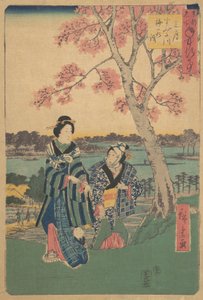 Sledování švestkových květů ve třetím měsíci na řece Sumida ze série Výroční události v F..., 1854. od Ando Hiroshige