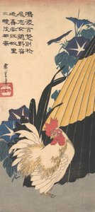 Kohout, deštník a ranní slávy, ca. 1830, ca. 1830. od Ando Hiroshige