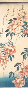 Růže. od Ando Hiroshige