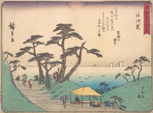 Shirasuka, co? 1838. , komár. 1838. od Ando Hiroshige
