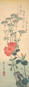 Vynikající růžové a řepík čínský, ca. 1836, ca. 1836. od Ando Hiroshige