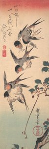 Vlaštovky a pučící divoká třešeň, ca. 1835, ca. 1835. od Ando Hiroshige