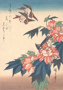Vlaštovky a ledňáček s růžovým slézem, ca. 1838, ca. 1838. od Ando Hiroshige