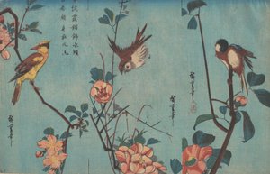 Sýkora koňadra a kamélie vpravo, vrabec a divoké růže uprostřed a černonohý..., asi 1833. od Ando Hiroshige