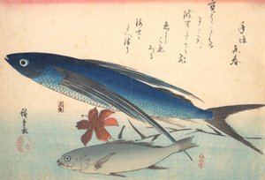 Ryby Tobiuo a Ishimochi, ze série Uozukushi Every Variety of Fish, 40. léta 19. století, 40. léta 19. století. od Ando Hiroshige
