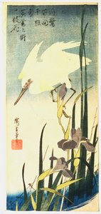 Bílá volavka a kosatce, 1833 od Ando Hiroshige