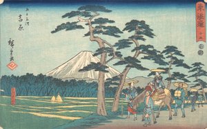 Yoshihara, co? 1840. , komár. 1840. od Ando Hiroshige