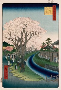 "Třešňové květy, nábřeží řeky Tama" od Ando or Utagawa Hiroshige
