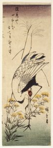 Jeřáb s divokou hořčicí (barevný dřevotisk) od Ando or Utagawa Hiroshige
