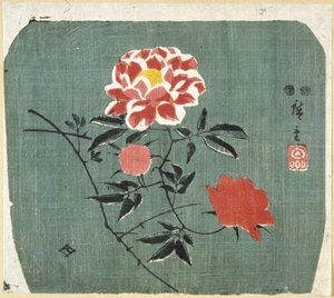 Fan Print: Rose od Ando or Utagawa Hiroshige