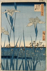 Horikiri s je r elektrický od Ando or Utagawa Hiroshige