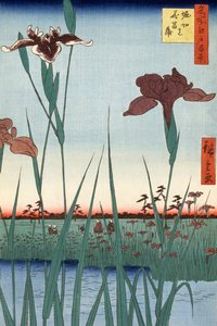 Horikiri Iris Garden by Utagawa Hiroshige od Ando or Utagawa Hiroshige