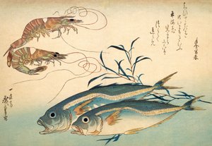 Japonský kranas a japonská tygří kreveta (barevný dřevotisk) od Ando or Utagawa Hiroshige