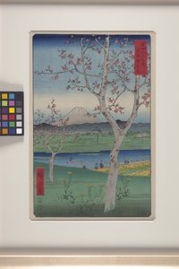 Koshigaya v provincii Musashi (Musashi Koshigaya) (barevný dřevotisk) od Ando or Utagawa Hiroshige
