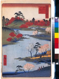 Le jardin du temple Hachiman a Fukagawa (cent vues celebres de Edo) - Oeuvre de Utagawa Hiroshige (1797-1858), estampe japonaise, vers 1858 - (Otevřená zahrada u svatyně Hachiman ve Fukagawě (Sto slavných pohledů na Edo), Barevné pohledy na Edo dřevoryt od od Ando or Utagawa Hiroshige