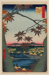 Javory u maminky, svatyně Tekona a propojený most od Ando or Utagawa Hiroshige