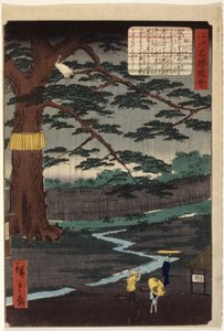 Miyuki Pine (barevný dřevotisk) od Ando or Utagawa Hiroshige