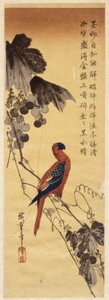 Papoušek a vinná réva (barevný dřevořez) od Ando or Utagawa Hiroshige