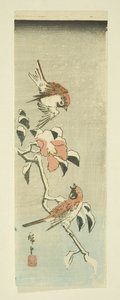Vrabci a kamélie ve sněhu (barevný dřevotisk) od Ando or Utagawa Hiroshige