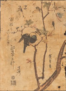 Studie ptáka spícího na větvi od Ando or Utagawa Hiroshige