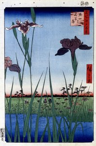 Vodní kosatec - japonský tisk Utagawa Hiroshige. Sto pohledů na Edo od Ando or Utagawa Hiroshige