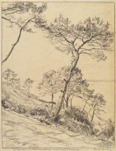Krajina od André Dauchez