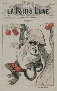 Darwin jako opice v La Petite Lune od Andre Gill