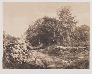 Bez názvu (Scene of Fontainebleau)