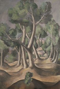 Háj od Andre Derain