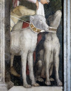Molossští psi, detail z Meeting Wall od Andrea Mantegna