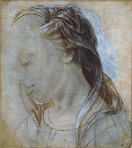 Ženská hlava (kresba) od Andrea Verrocchio