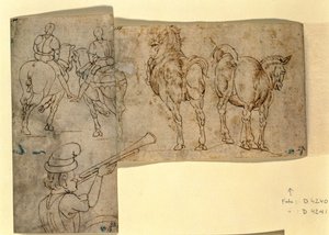 Inv. č. 38 recto Náčrt koní, k.ú. 1460-70 (pero a inkoust) od Andrea Verrocchio