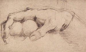 Ruka; výkres od Andrea del Sarto
