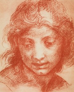 Hlava chlapců od Andrea del Sarto