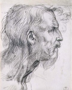 Hlava apoštola, studie pro fresku „Poslední večeře“ v klášteře San Salvi, Florencie, kolem 1520-25 (uhlí) od Andrea del Sarto