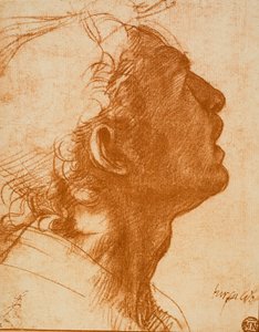 Mužská hlava od Andrea del Sarto