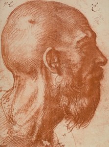 Mans hlava v profilu od Andrea del Sarto