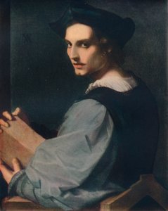 Portrét mladého muže, c1517, 1911 od Andrea del Sarto
