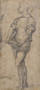 Stojící mladík držící knihu, cca 1515 od Andrea del Sarto