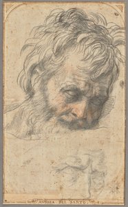Studie hlavy svatého Josefa (recto); dvě studie nohou (verso) od Andrea del Sarto