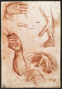 „Studie rukou“ kreslení uhlem (uhlem) od Andrea del Sarto