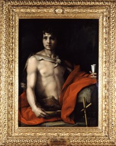 Neznámý obrázek od Andrea del Sarto