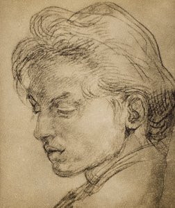 Mužská hlava v profilu od Andrea del Sarto