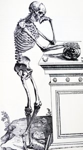 Lidská kostra s lebkou v ruce. Z "De Humani Corporis Fabrica" ​​od Vesalius. Možný řezač dřeva: Jan von Calcar od Andreas Vesalius