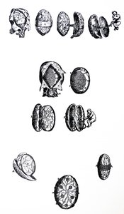 Desky z páté knihy De Humani Corporis Fabrica od Andreas Vesalius